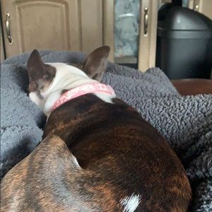 Meet your Posher, Paige